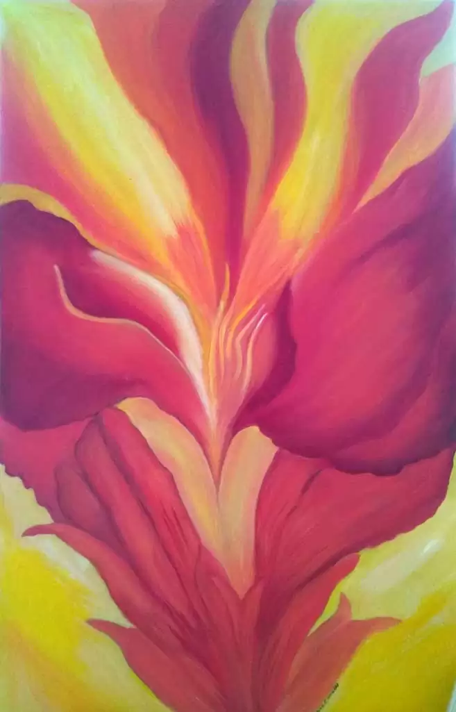Red Canna Lily